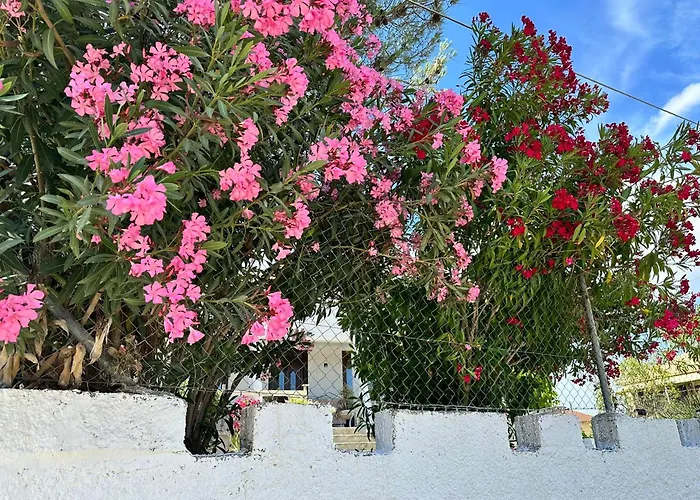 Zante Star Summer House