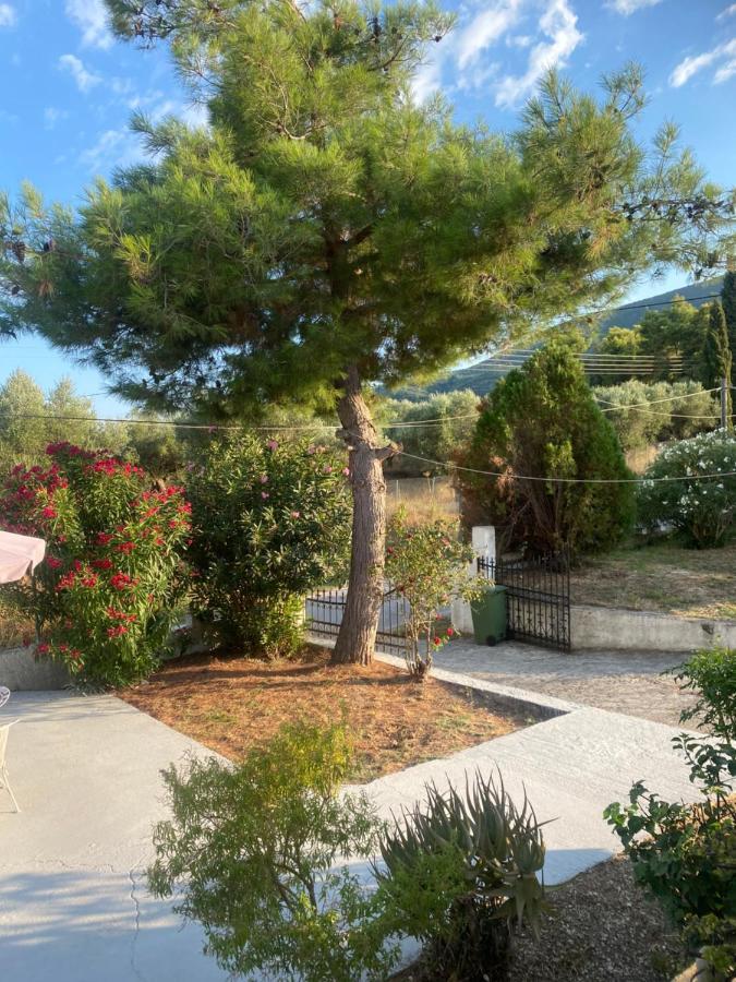 Zante Star Summer House Pandokrator