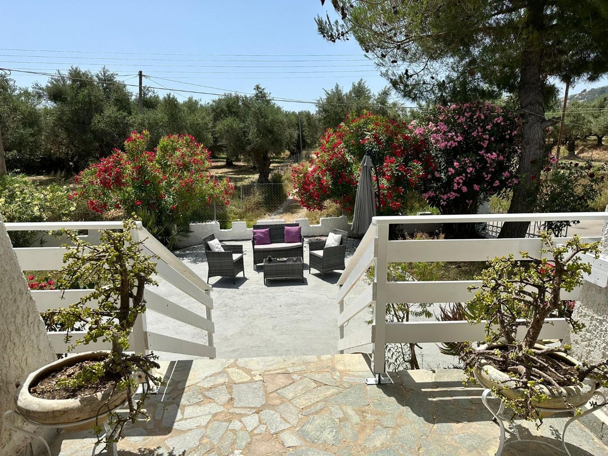 Zante Star Summer House Pandokrator